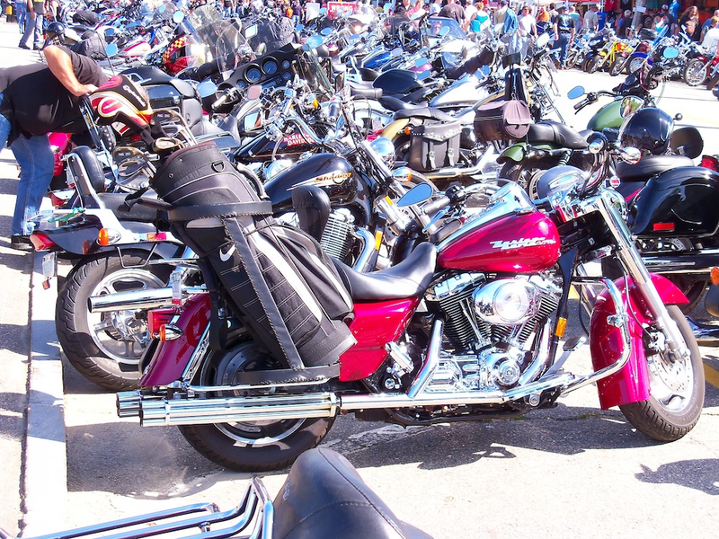 Illustration for article titled Throbbing Pipes And Pussy By The Can: Scenes From Laconia Bike Week